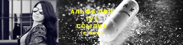скорость Белокуриха