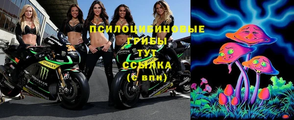 спайс Богородицк