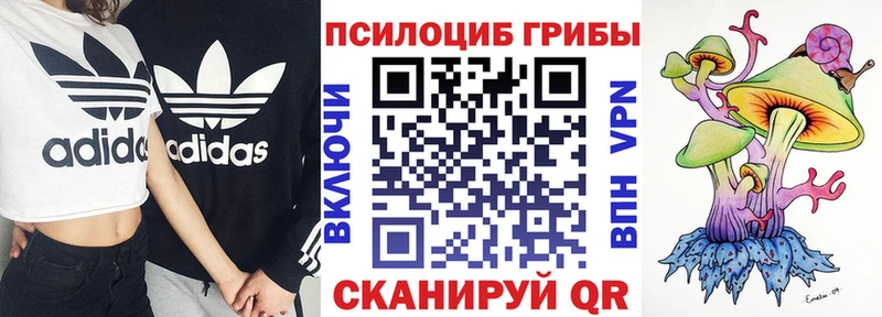 Купить  Ноябрьск  Псилоцибиновые грибы прущие грибы 